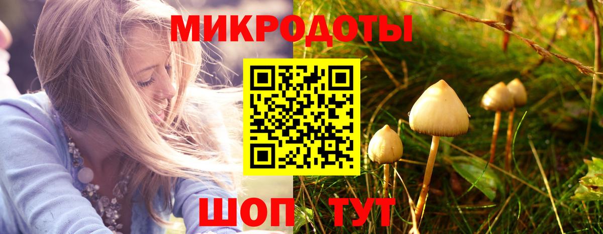 Псилоцибиновые грибы прущие грибы Ипатово